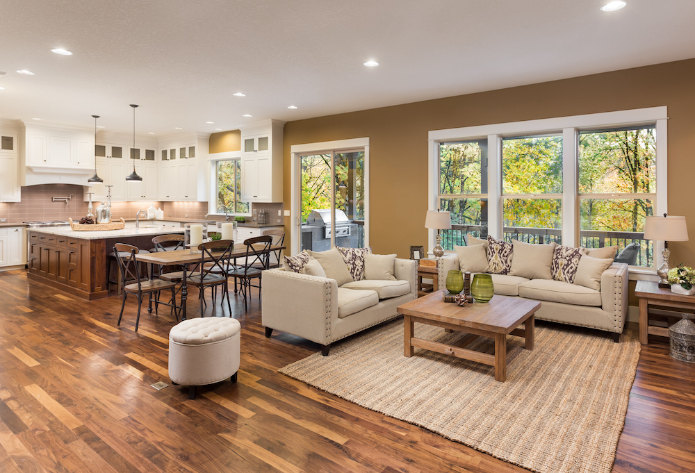 Luxurious Living Room in new home