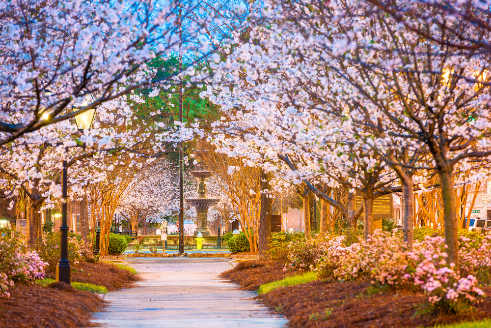 Things to Do in Macon This Spring