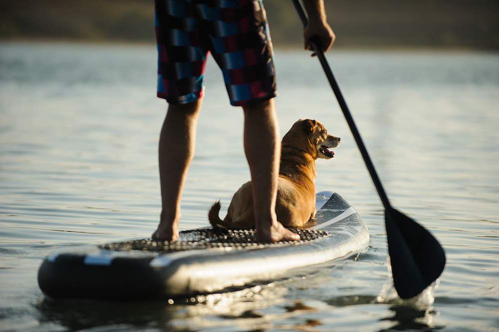 Paddle Boarding at Lake Tobesofkee