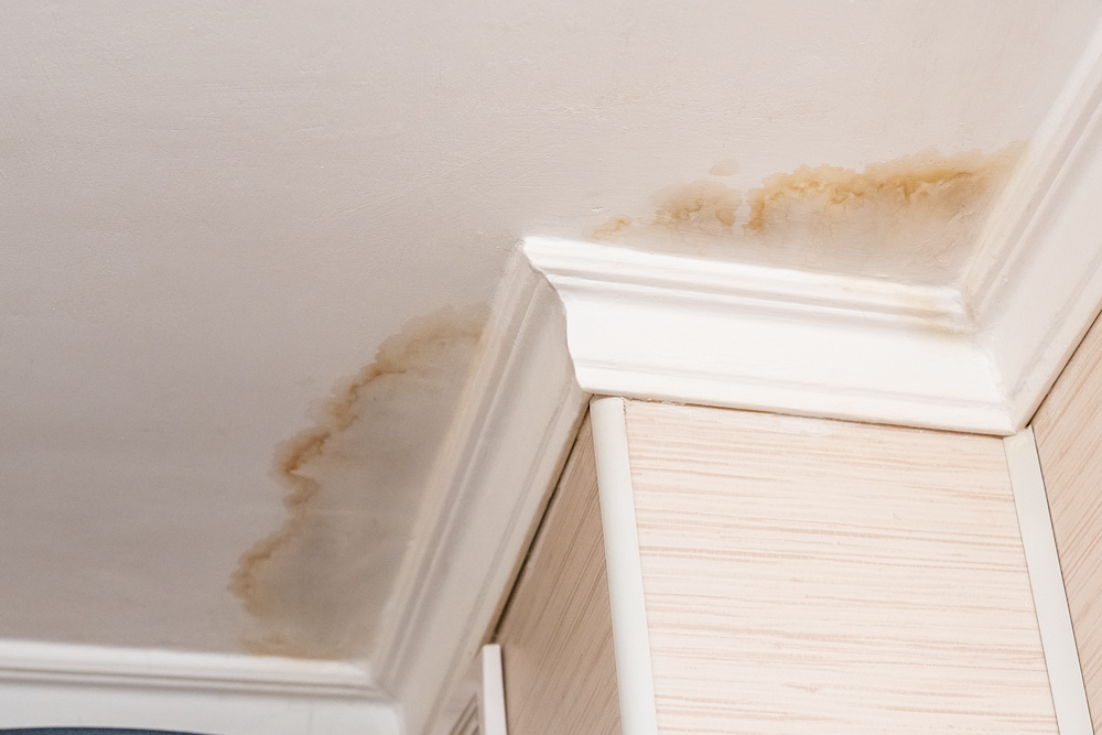 Ceiling Stain maintenance